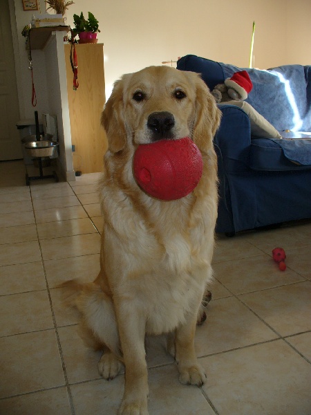 Eline de l'eden d'Essy